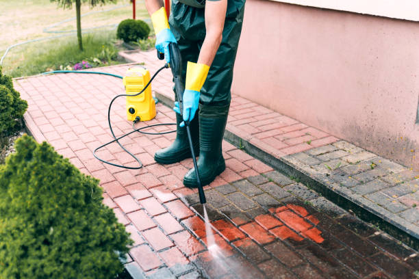 Best Exterior Home Cleaning  in Nescopeck, PA