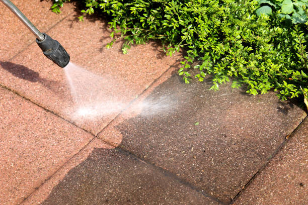 Best Best Pressure Washing Companies  in Nescopeck, PA